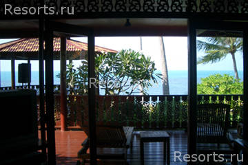 Coconut Paradise 19